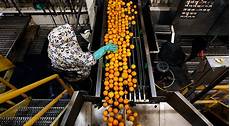 Fruit Juice Production Lines