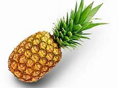 Fruit Juice Meaning