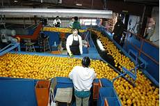 Fruit Juice Processing Equipment