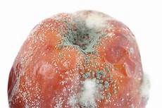 Fruit Juice Processing Equipment