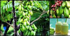 Juice Natural