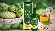 Noni Juice Concentrate