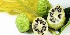 Noni Juice Diebetes