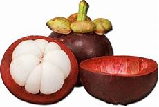 Noni Juice Ingredients